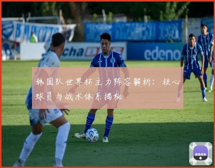 韩国队世界杯主力阵容解析：核心球员与战术体系揭秘